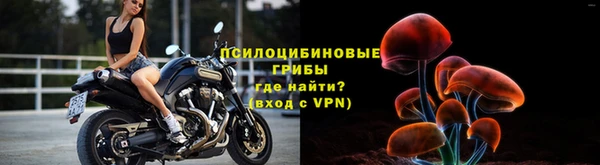 герыч Алзамай